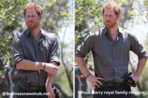 prince harry royal family reunion